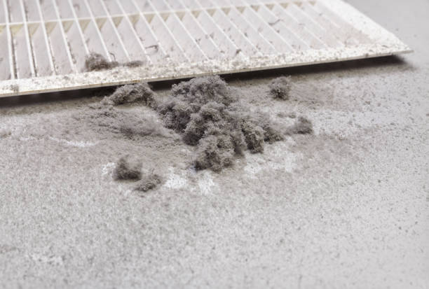 Best Best Air Duct Cleaning Company  in Three Rivers, CA