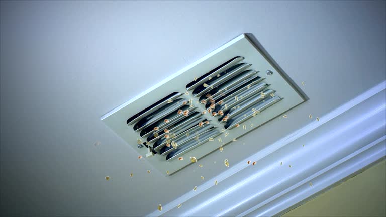 Best Air Duct Cleaning Near Me  in Three Rivers, CA
