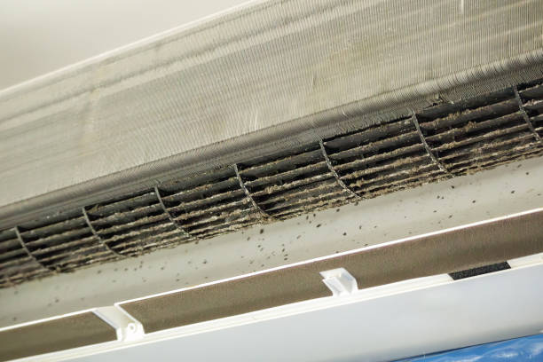 Best Air Duct Mold Removal  in Three Rivers, CA